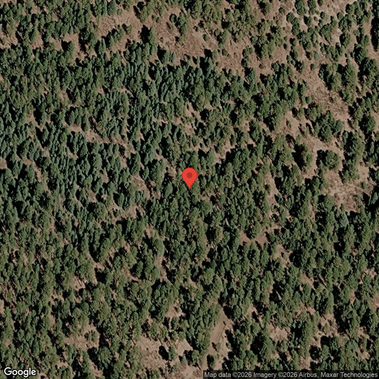 Forest Road, El Rito