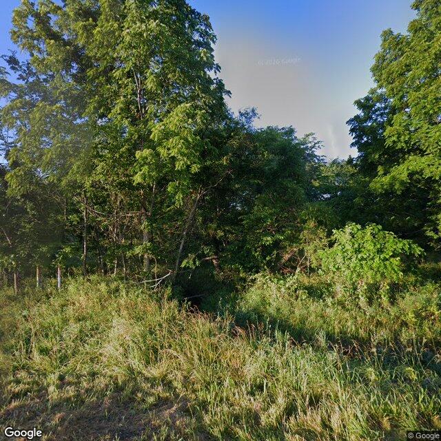 County Rd. 197 (Tract 7 - 11+/- Acres), Williamsburg