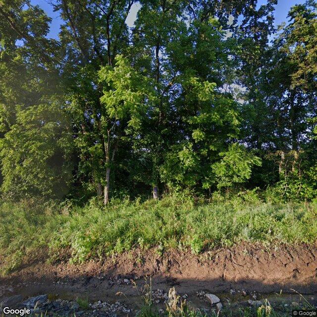 County Rd. 197 (Tract 6 - 11+/- Acres), Williamsburg
