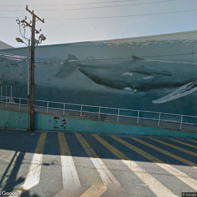 3800 Boardwalk, Wildwood