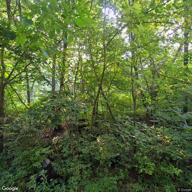 77 S Louis Avenue, Freeport