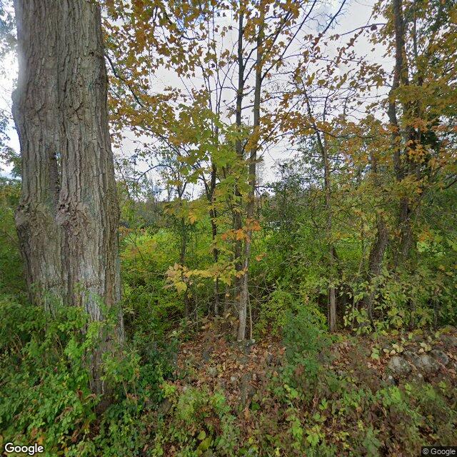 333 Maple Avenue, Greenville