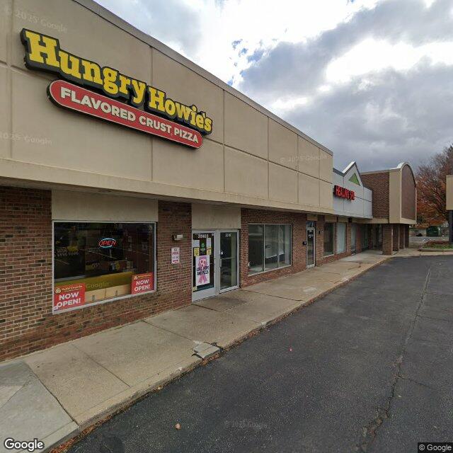 35103-35243 Grand River Ave., farmington